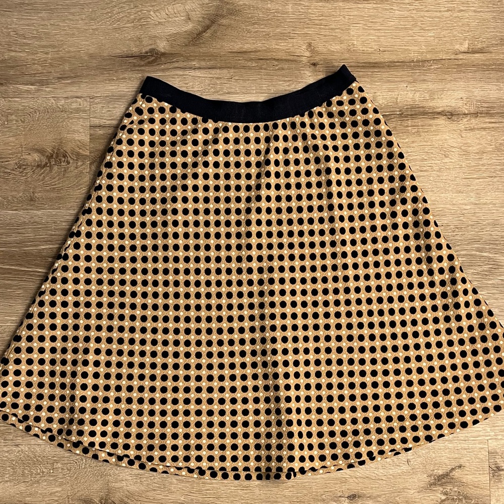 Ann Taylor Skirt in Great Condition